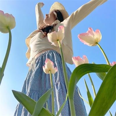 家谱